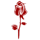 Mad Rose Pub
